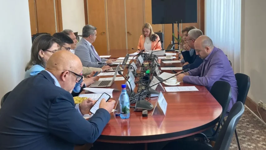 intalnirea ilie bolojan simina tanasescu psd aur si pace au votat in senat initierea unei anchete parlamentare primele audieri pe 26 august 6a842404b50e5