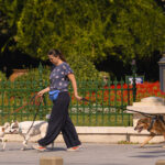 noi politici implementate prin codul urbanismului mai multe spatii verzi conditii mai bune pentru pietoni si biciclisti 6a86c937f2ab2