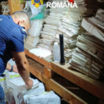 politistii au facut 52 de perchezitii in sapte judete si in bucuresti intr un dosar de evaziune fiscala 6a8583b06171d