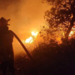 pompierii romani au intervenit la un incendiu de vegetatie si fond forestier din regiunea attica din grecia 6a6ef3708d2fc