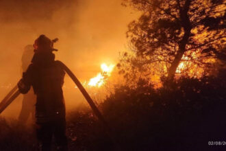 pompierii romani au intervenit la un incendiu de vegetatie si fond forestier din regiunea attica din grecia 6a6ef3708d2fc