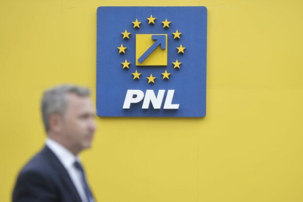 primul lider din pnl care reactioneaza dupa raportul fitch decizia arata ca masurile de disciplina bugetara merg in directia corecta 6a6dec6ed878b