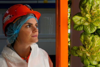 salata cultivata in subteran si ferme la peste 1 000 de metri adancime cum incearca cercetatorii britanici sa rezolve criza alimentara 6a89f6dd1fd03