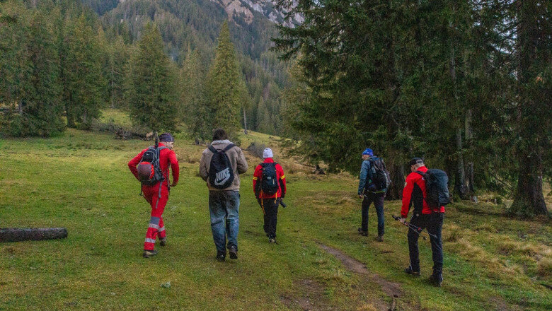 salvamontistii din sibiu au intervenit pentru a salva un parapantist blocat intr un copac in muntii fagaras 6a6f8e1e946fc