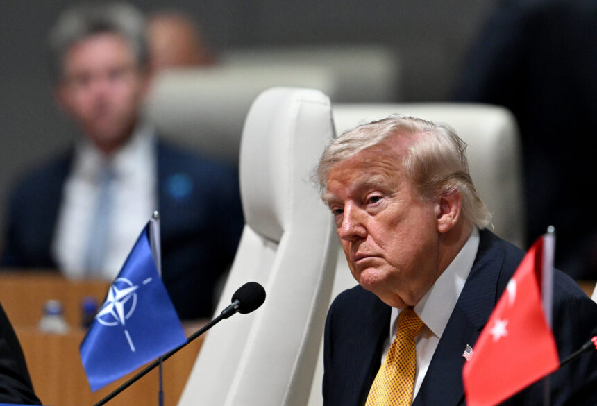 statele nato din europa de est se dau bine pe langa trump i au pregatit liderului sua o oferta financiara 6a899d925064e