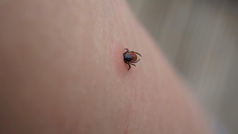ue evalueaza un vaccin pfizer impotriva bolii lyme infectie transmisa prin muscatura de capusa 6a812cba8b926