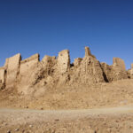 un cimitir de rechini preistorici descoperit in desertul egiptului sapte specii au fost identificate 6a89e8ba8e038