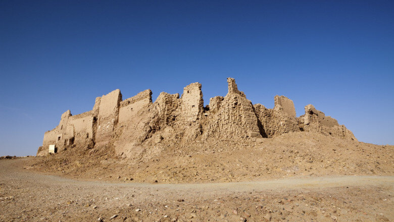 un cimitir de rechini preistorici descoperit in desertul egiptului sapte specii au fost identificate 6a89e8ba8e038