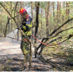videofoto pompierii romani mobilizati in serbia pentru stingerea unui incendiu de vegetatie interventie dificila intr o zona de 34 de hectare 6a8ef68ca55b6