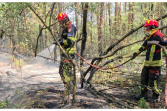 videofoto pompierii romani mobilizati in serbia pentru stingerea unui incendiu de vegetatie interventie dificila intr o zona de 34 de hectare 6a8ef68ca55b6