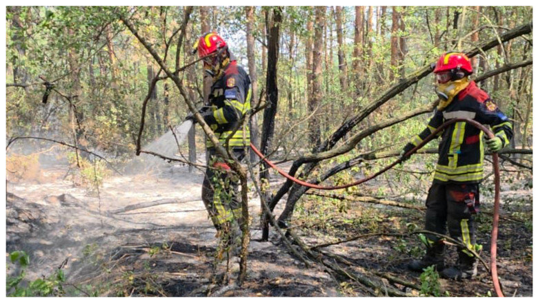 videofoto pompierii romani mobilizati in serbia pentru stingerea unui incendiu de vegetatie interventie dificila intr o zona de 34 de hectare 6a8ef68ca55b6
